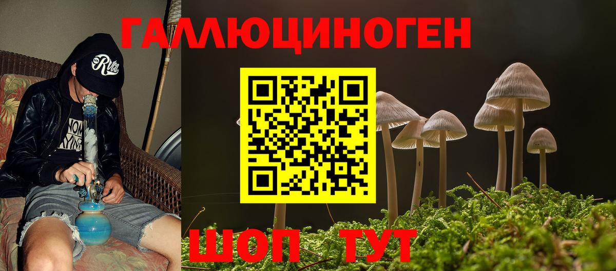 Псилоцибиновые грибы прущие грибы  Галлюциногенные грибы Cubensis  Вход с VPN  Елизово 